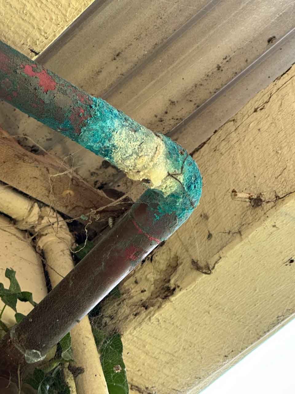 Main Line Water Leak